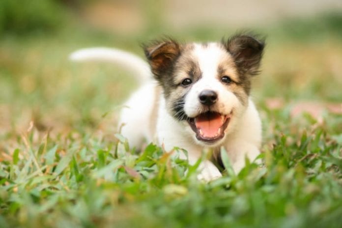 ThinkstockPhotos-186278106