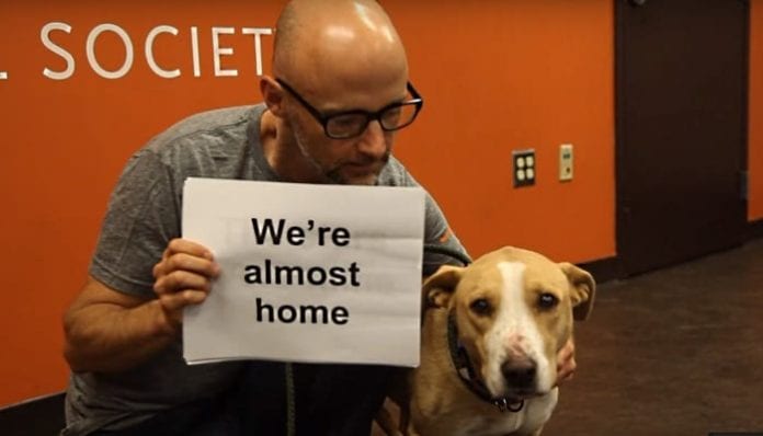 moby