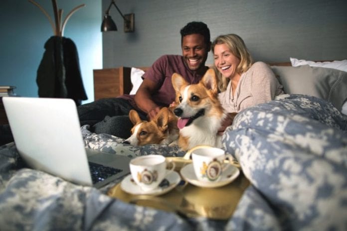 dog-netflix