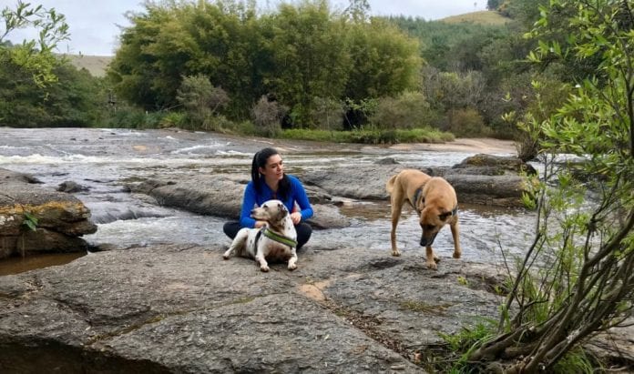 patasaoalto_andrea_miramontes_petfriendly