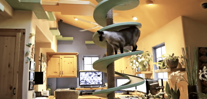 CASA DE GATO